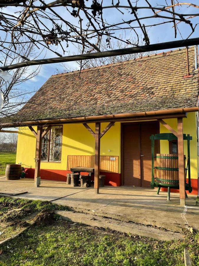 Het Hongaarse Wijnhuis Mohács Buitenkant foto