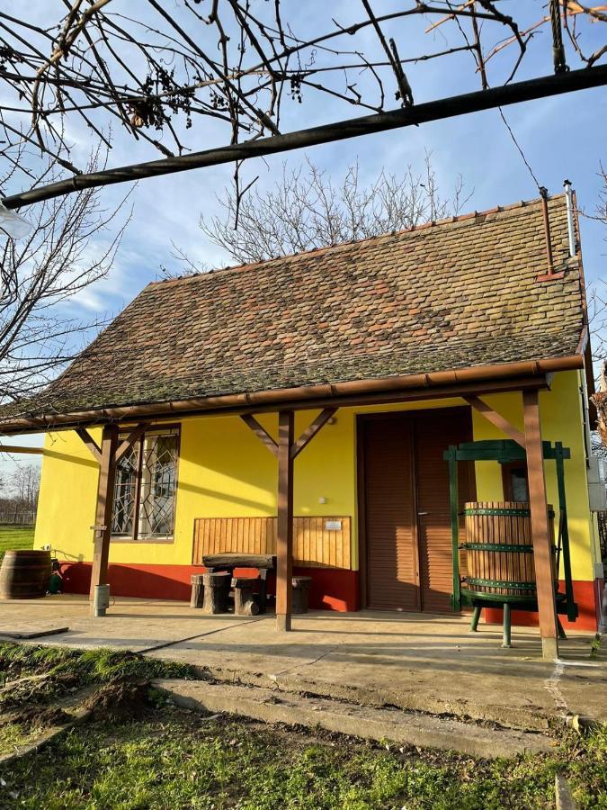 Het Hongaarse Wijnhuis Mohács Buitenkant foto